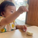 Title: 小麦粉粘土あそび（紙風船組） | Press-561 | Image No.29 | 社会福祉法人ひだまり会  かざぐるま保育園 | 福岡県行橋市