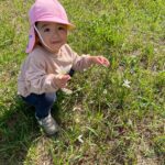 Title: 秋探そう(紙風船組) | Press-581 | Image No.19 | 社会福祉法人ひだまり会  かざぐるま保育園 | 福岡県行橋市