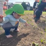 Title: 秋探そう(紙風船組) | Press-581 | Image No.25 | 社会福祉法人ひだまり会  かざぐるま保育園 | 福岡県行橋市