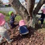 Title: 秋探そう(紙風船組) | Press-581 | Image No.4 | 社会福祉法人ひだまり会  かざぐるま保育園 | 福岡県行橋市