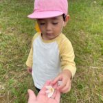 Title: 秋探そう(紙風船組) | Press-581 | Image No.28 | 社会福祉法人ひだまり会  かざぐるま保育園 | 福岡県行橋市