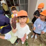 Title: 収穫体験（竹とんぼ組） | Press-571 | Image No.32 | 社会福祉法人ひだまり会  かざぐるま保育園 | 福岡県行橋市