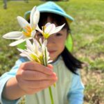 Title: 園外保育（けん玉組） | Press-583 | Image No.7 | 社会福祉法人ひだまり会  かざぐるま保育園 | 福岡県行橋市