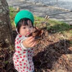 Title: 秋探そう(紙風船組) | Press-581 | Image No.22 | 社会福祉法人ひだまり会  かざぐるま保育園 | 福岡県行橋市