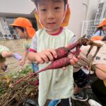 Title: 収穫体験（竹とんぼ組） | Press-571 | Image No.9 | 社会福祉法人ひだまり会  かざぐるま保育園 | 福岡県行橋市