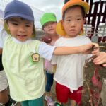 Title: 収穫体験（竹とんぼ組） | Press-571 | Image No.26 | 社会福祉法人ひだまり会  かざぐるま保育園 | 福岡県行橋市