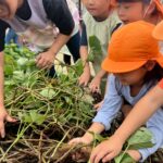 Title: 収穫体験（竹とんぼ組） | Press-571 | Image No.6 | 社会福祉法人ひだまり会  かざぐるま保育園 | 福岡県行橋市