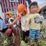 Title: 収穫体験（竹とんぼ組） | Press-571 | Image No.17 | 社会福祉法人ひだまり会  かざぐるま保育園 | 福岡県行橋市
