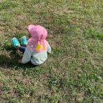 Title: 秋探そう(紙風船組) | Press-581 | Image No.7 | 社会福祉法人ひだまり会  かざぐるま保育園 | 福岡県行橋市