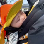 Title: 秋探そう(紙風船組) | Press-581 | Image No.16 | 社会福祉法人ひだまり会  かざぐるま保育園 | 福岡県行橋市