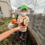 Title: 収穫体験（竹とんぼ組） | Press-571 | Image No.24 | 社会福祉法人ひだまり会  かざぐるま保育園 | 福岡県行橋市