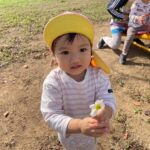 Title: 秋探そう(紙風船組) | Press-581 | Image No.24 | 社会福祉法人ひだまり会  かざぐるま保育園 | 福岡県行橋市