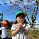 Title: みんなであそぼう | Press-578 | Image No.15 | 社会福祉法人ひだまり会  かざぐるま保育園 | 福岡県行橋市