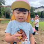 Title: 秋探そう(紙風船組) | Press-581 | Image No.41 | 社会福祉法人ひだまり会  かざぐるま保育園 | 福岡県行橋市