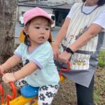 Title: 秋探そう(紙風船組) | Press-581 | Image No.39 | 社会福祉法人ひだまり会  かざぐるま保育園 | 福岡県行橋市