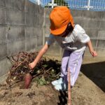 Title: 収穫体験（竹とんぼ組） | Press-571 | Image No.1 | 社会福祉法人ひだまり会  かざぐるま保育園 | 福岡県行橋市