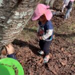 Title: 秋探そう(紙風船組) | Press-581 | Image No.3 | 社会福祉法人ひだまり会  かざぐるま保育園 | 福岡県行橋市