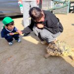 Title: 秋の作品展＆ファミリーデイ | Press-588 | Image No.59 | 社会福祉法人ひだまり会  かざぐるま保育園 | 福岡県行橋市