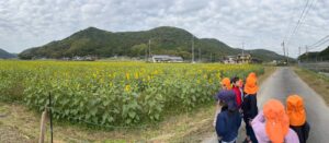 Title: 園外保育(竹とんぼ組) | Press-585 | Image No.18 | 社会福祉法人ひだまり会 かざぐるま保育園 | 福岡県行橋市