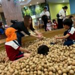 Title: 親子遠足(年長児) | Press-584 | Image No.26 | 社会福祉法人ひだまり会  かざぐるま保育園 | 福岡県行橋市