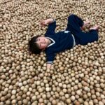 Title: 親子遠足(年長児) | Press-584 | Image No.18 | 社会福祉法人ひだまり会  かざぐるま保育園 | 福岡県行橋市