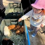 Title: 秋の作品展＆ファミリーデイ | Press-588 | Image No.57 | 社会福祉法人ひだまり会  かざぐるま保育園 | 福岡県行橋市