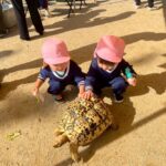 Title: 秋の作品展＆ファミリーデイ | Press-588 | Image No.86 | 社会福祉法人ひだまり会  かざぐるま保育園 | 福岡県行橋市