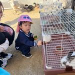 Title: 秋の作品展＆ファミリーデイ | Press-588 | Image No.94 | 社会福祉法人ひだまり会  かざぐるま保育園 | 福岡県行橋市