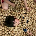 Title: 親子遠足(年長児) | Press-584 | Image No.29 | 社会福祉法人ひだまり会  かざぐるま保育園 | 福岡県行橋市