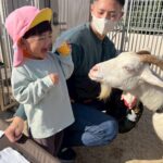 Title: 秋の作品展＆ファミリーデイ | Press-588 | Image No.70 | 社会福祉法人ひだまり会  かざぐるま保育園 | 福岡県行橋市