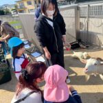 Title: 秋の作品展＆ファミリーデイ | Press-588 | Image No.75 | 社会福祉法人ひだまり会  かざぐるま保育園 | 福岡県行橋市