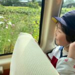 Title: 園外保育(竹とんぼ組) | Press-585 | Image No.8 | 社会福祉法人ひだまり会 かざぐるま保育園 | 福岡県行橋市