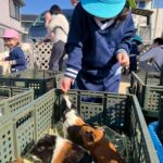 Title: 秋の作品展＆ファミリーデイ | Press-588 | Image No.58 | 社会福祉法人ひだまり会  かざぐるま保育園 | 福岡県行橋市