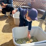 Title: 秋の作品展＆ファミリーデイ | Press-588 | Image No.89 | 社会福祉法人ひだまり会  かざぐるま保育園 | 福岡県行橋市