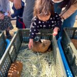 Title: 秋の作品展＆ファミリーデイ | Press-588 | Image No.83 | 社会福祉法人ひだまり会  かざぐるま保育園 | 福岡県行橋市