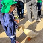 Title: 秋の作品展＆ファミリーデイ | Press-588 | Image No.62 | 社会福祉法人ひだまり会  かざぐるま保育園 | 福岡県行橋市