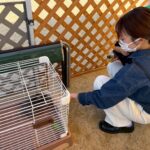 Title: 秋の作品展＆ファミリーデイ | Press-588 | Image No.76 | 社会福祉法人ひだまり会  かざぐるま保育園 | 福岡県行橋市