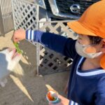 Title: 秋の作品展＆ファミリーデイ | Press-588 | Image No.55 | 社会福祉法人ひだまり会  かざぐるま保育園 | 福岡県行橋市