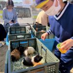 Title: 秋の作品展＆ファミリーデイ | Press-588 | Image No.80 | 社会福祉法人ひだまり会  かざぐるま保育園 | 福岡県行橋市