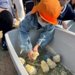 Title: 秋の作品展＆ファミリーデイ | Press-588 | Image No.66 | 社会福祉法人ひだまり会  かざぐるま保育園 | 福岡県行橋市