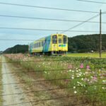 Title: 園外保育(竹とんぼ組) | Press-585 | Image No.12 | 社会福祉法人ひだまり会 かざぐるま保育園 | 福岡県行橋市