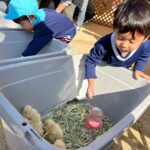 Title: 秋の作品展＆ファミリーデイ | Press-588 | Image No.61 | 社会福祉法人ひだまり会  かざぐるま保育園 | 福岡県行橋市