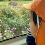 Title: 園外保育(竹とんぼ組) | Press-585 | Image No.6 | 社会福祉法人ひだまり会 かざぐるま保育園 | 福岡県行橋市