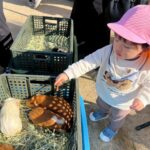 Title: 秋の作品展＆ファミリーデイ | Press-588 | Image No.95 | 社会福祉法人ひだまり会  かざぐるま保育園 | 福岡県行橋市