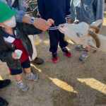 Title: 秋の作品展＆ファミリーデイ | Press-588 | Image No.69 | 社会福祉法人ひだまり会  かざぐるま保育園 | 福岡県行橋市