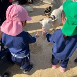 Title: 秋の作品展＆ファミリーデイ | Press-588 | Image No.79 | 社会福祉法人ひだまり会  かざぐるま保育園 | 福岡県行橋市