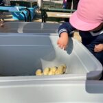 Title: 秋の作品展＆ファミリーデイ | Press-588 | Image No.72 | 社会福祉法人ひだまり会  かざぐるま保育園 | 福岡県行橋市