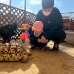 Title: 秋の作品展＆ファミリーデイ | Press-588 | Image No.85 | 社会福祉法人ひだまり会  かざぐるま保育園 | 福岡県行橋市