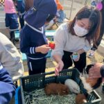 Title: 秋の作品展＆ファミリーデイ | Press-588 | Image No.67 | 社会福祉法人ひだまり会  かざぐるま保育園 | 福岡県行橋市