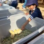 Title: 秋の作品展＆ファミリーデイ | Press-588 | Image No.77 | 社会福祉法人ひだまり会  かざぐるま保育園 | 福岡県行橋市